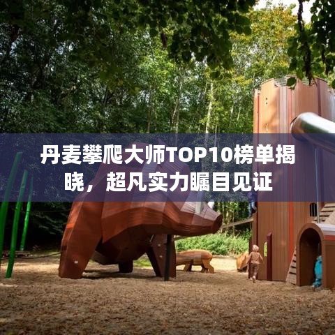 丹麦攀爬大师TOP10榜单揭晓，超凡实力瞩目见证
