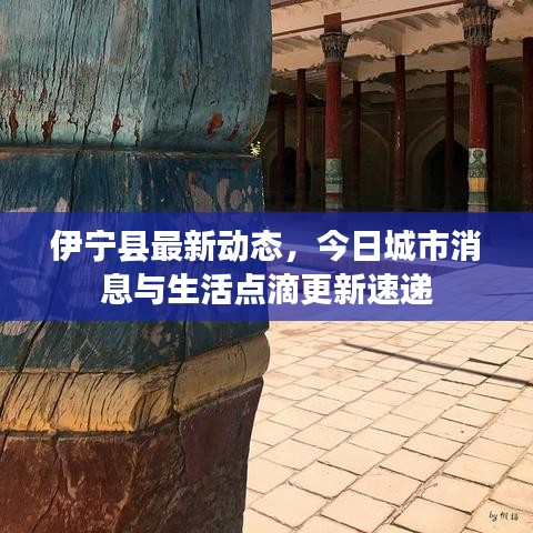 伊宁县最新动态，今日城市消息与生活点滴更新速递