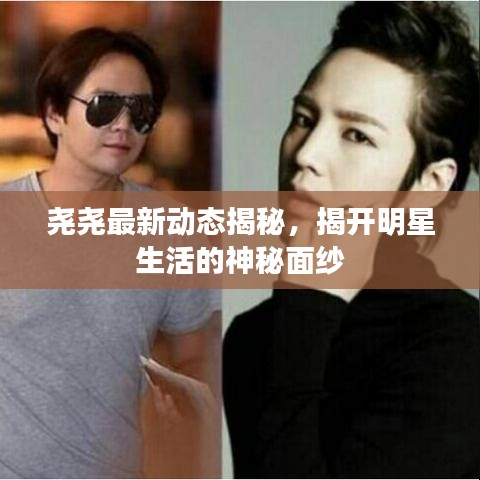 尧尧最新动态揭秘，揭开明星生活的神秘面纱