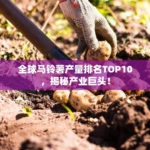 全球马铃薯产量排名TOP10，揭秘产业巨头！