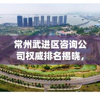 常州武进区咨询公司权威排名揭晓，专业服务领航者名单大揭秘！
