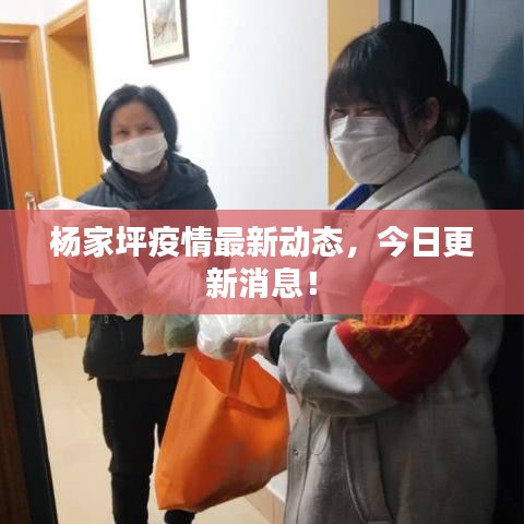 杨家坪疫情最新动态，今日更新消息！