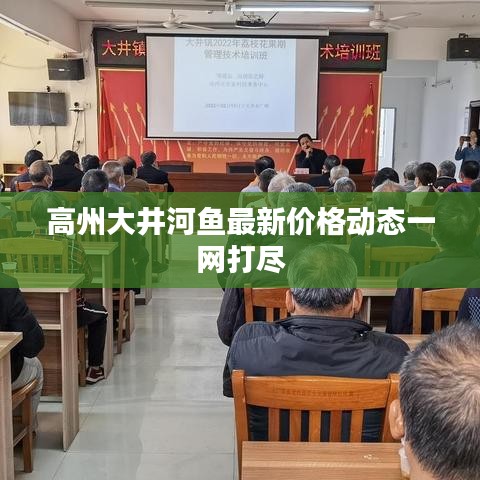 高州大井河鱼最新价格动态一网打尽