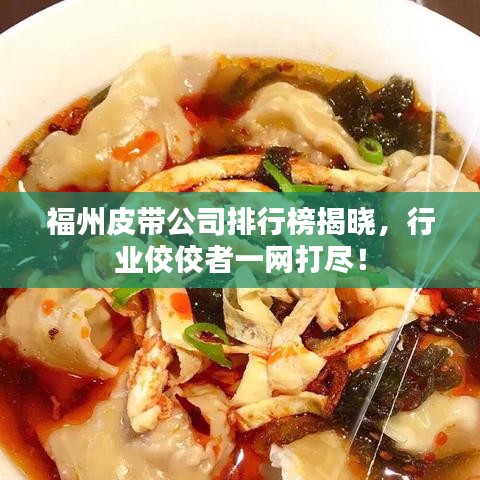 福州皮带公司排行榜揭晓，行业佼佼者一网打尽！