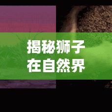 揭秘狮子在自然界中的地位排名，王者之狮荣耀上榜！