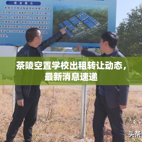 茶陵空置学校出租转让动态，最新消息速递