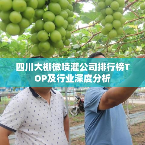 四川大棚微喷灌公司排行榜TOP及行业深度分析