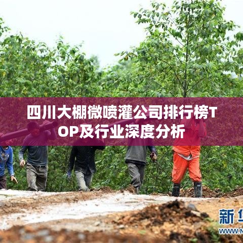 四川大棚微喷灌公司排行榜TOP及行业深度分析