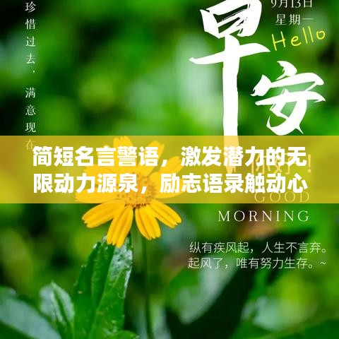 简短名言警语，激发潜力的无限动力源泉，励志语录触动心灵！