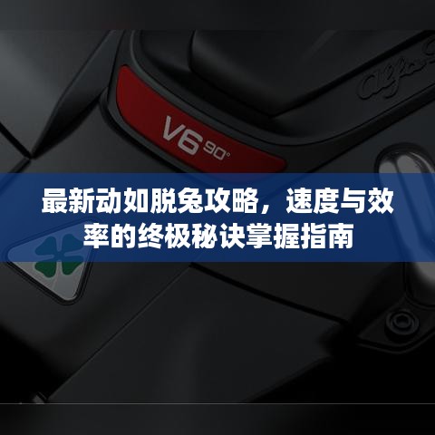 最新动如脱兔攻略，速度与效率的终极秘诀掌握指南