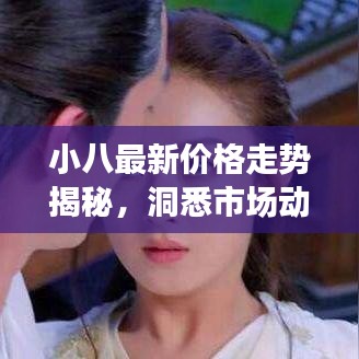 小八最新价格走势揭秘，洞悉市场动态，轻松把握市场机遇