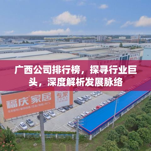 广西公司排行榜,探寻行业巨头,深度解析发展脉络