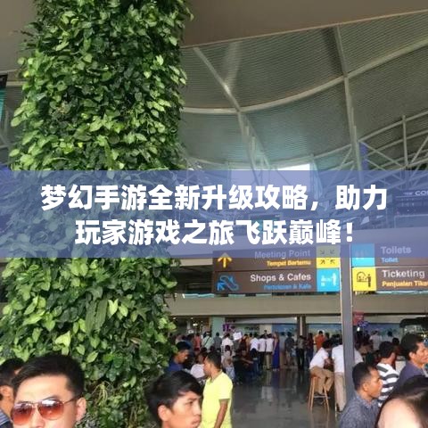 梦幻手游全新升级攻略，助力玩家游戏之旅飞跃巅峰！