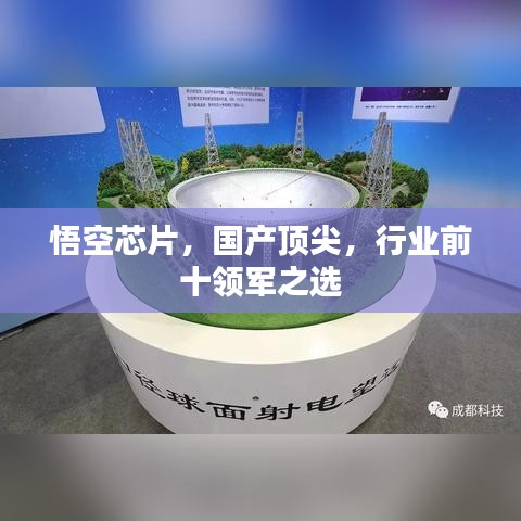 悟空芯片，国产顶尖，行业前十领军之选