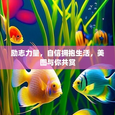 励志力量，自信拥抱生活，美图与你共赏