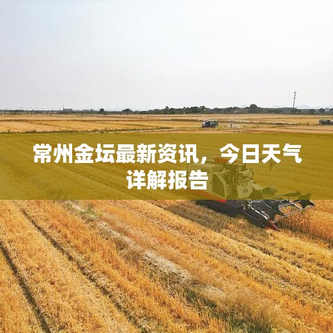 常州金坛最新资讯，今日天气详解报告