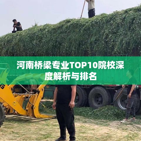 河南桥梁专业TOP10院校深度解析与排名