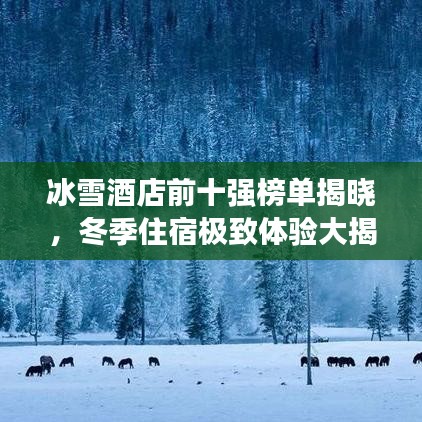 冰雪酒店前十强榜单揭晓，冬季住宿极致体验大揭秘