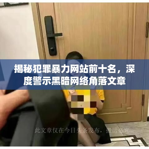 揭秘犯罪暴力网站前十名，深度警示黑暗网络角落文章