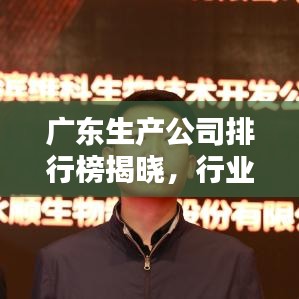 广东生产公司排行榜揭晓，行业巨头与领军者一览无余