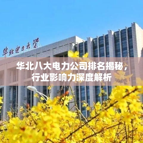 华北八大电力公司排名揭秘，行业影响力深度解析