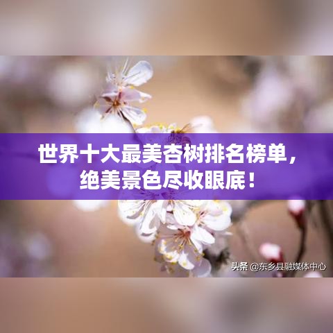 世界十大最美杏树排名榜单,绝美景色尽收眼底!