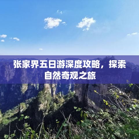 张家界五日游深度攻略，探索自然奇观之旅
