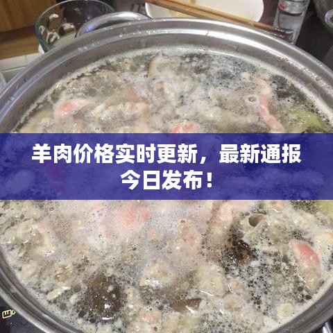 羊肉价格实时更新，最新通报今日发布！