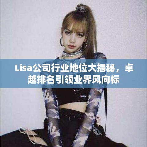 Lisa公司行业地位大揭秘，卓越排名引领业界风向标