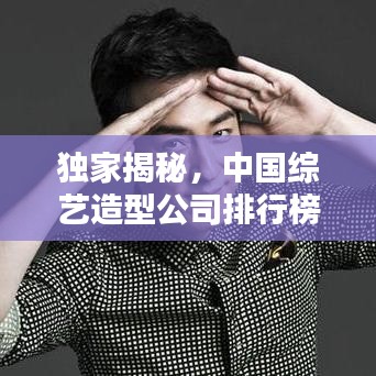 独家揭秘，中国综艺造型公司排行榜，时尚潮流背后的推手力量
