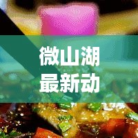 微山湖最新动态揭秘，官方权威发布，掌握最新消息！