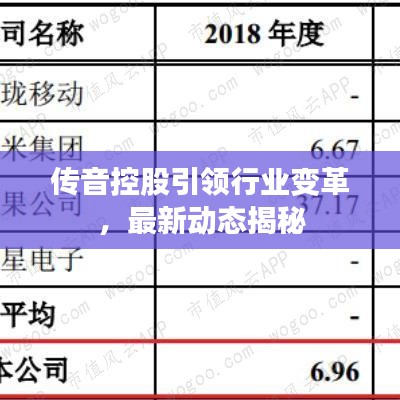 传音控股引领行业变革,最新动态揭秘