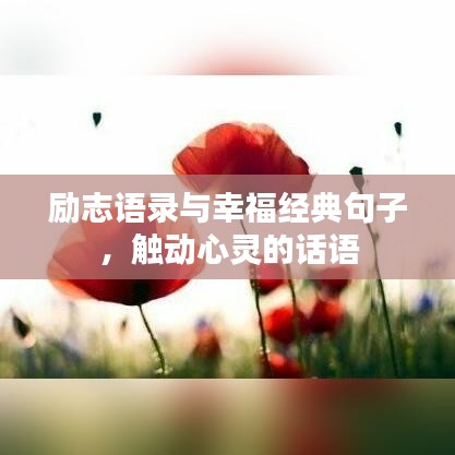 励志语录与幸福经典句子，触动心灵的话语