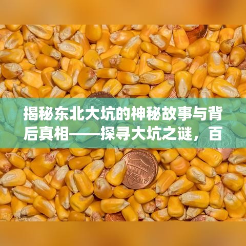 揭秘东北大坑的神秘故事与背后真相——探寻大坑之谜，百度带你探秘！