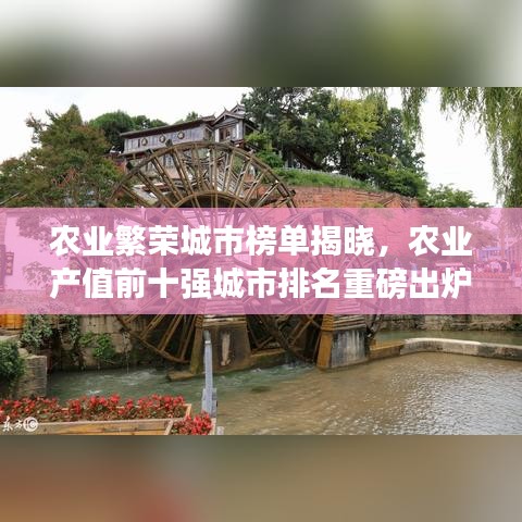农业繁荣城市榜单揭晓，农业产值前十强城市排名重磅出炉！