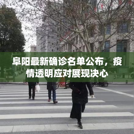阜阳最新确诊名单公布,疫情透明应对展现决心