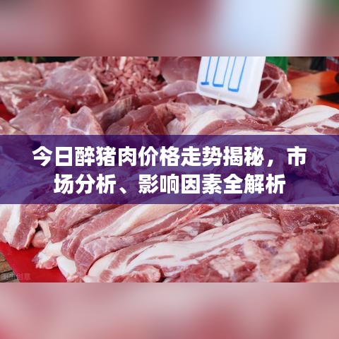 今日醉猪肉价格走势揭秘，市场分析、影响因素全解析