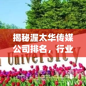 揭秘渥太华传媒公司排名，行业领军者的成功秘诀