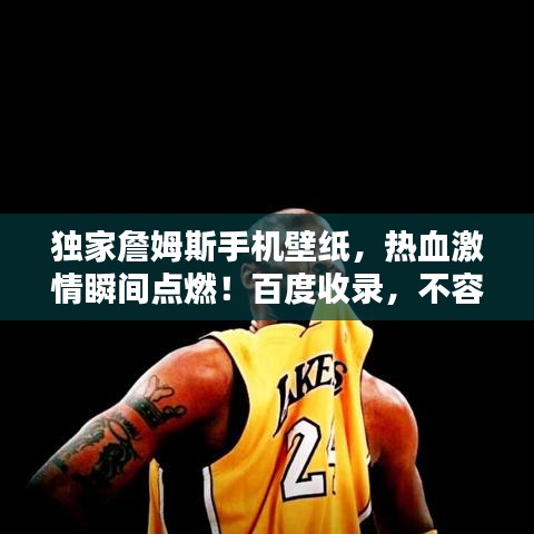 独家詹姆斯手机壁纸,热血激情瞬间点燃!百度收录,不容错过