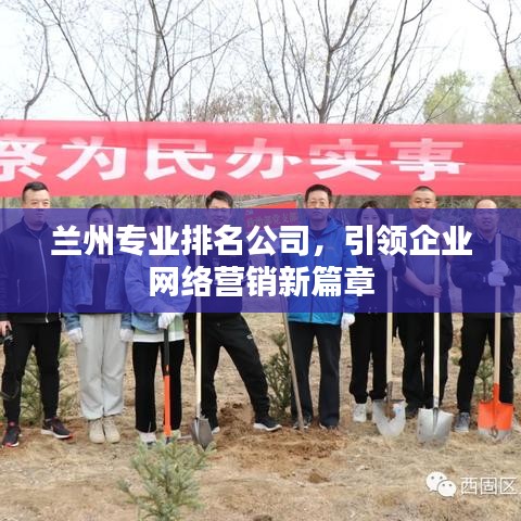 兰州专业排名公司，引领企业网络营销新篇章
