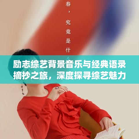 励志综艺背景音乐与经典语录摘抄之旅，深度探寻综艺魅力与启示