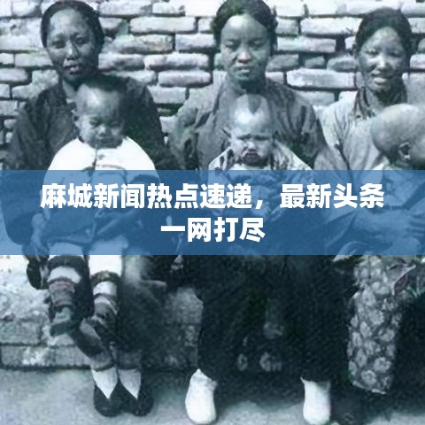 麻城新闻热点速递，最新头条一网打尽