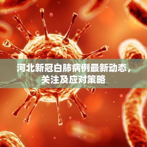 河北新冠白肺病例最新动态，关注及应对策略