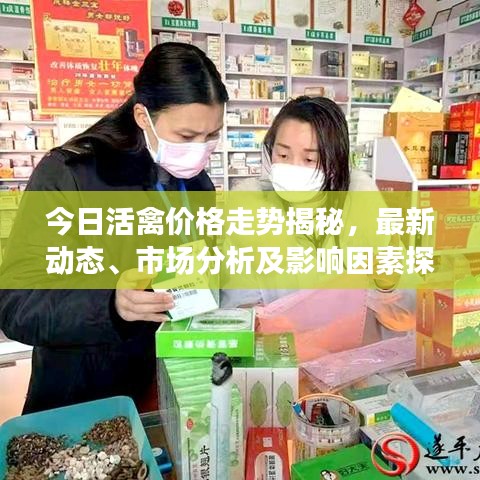 今日活禽价格走势揭秘，最新动态、市场分析及影响因素探讨