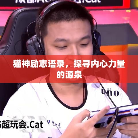 猫神励志语录，探寻内心力量的源泉