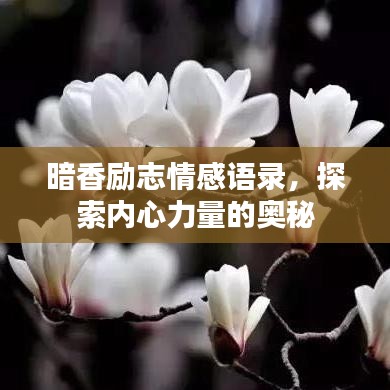 暗香励志情感语录，探索内心力量的奥秘