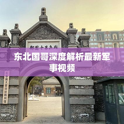东北国哥深度解析最新军事视频