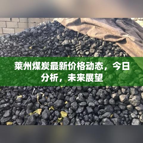 莱州煤炭最新价格动态，今日分析，未来展望