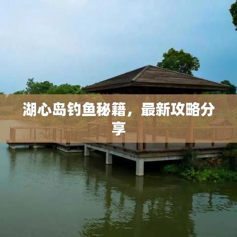 湖心岛钓鱼秘籍，最新攻略分享