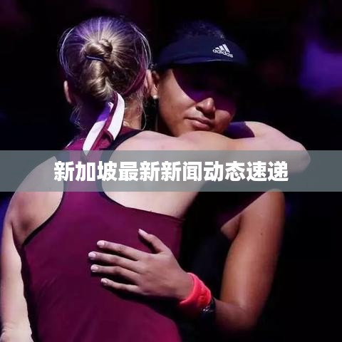 新加坡最新新闻动态速递